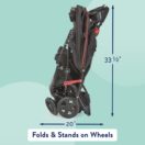 standing fold Thumbnail