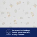 Antibacterial surface Thumbnail