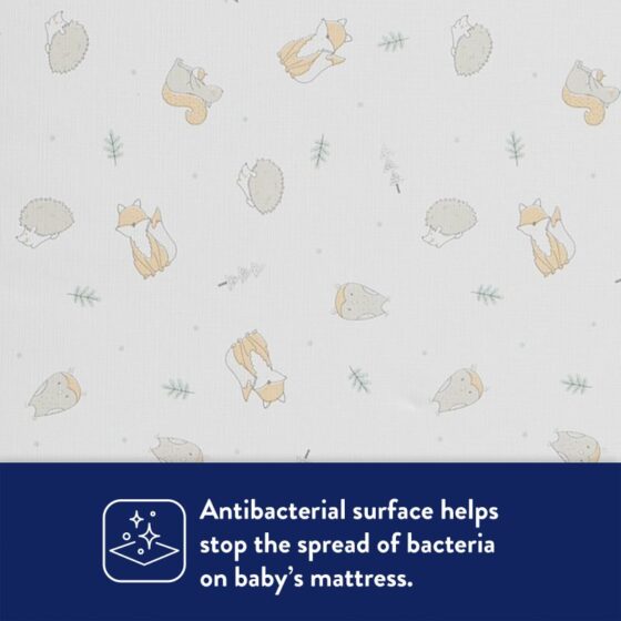Antibacterial surface
