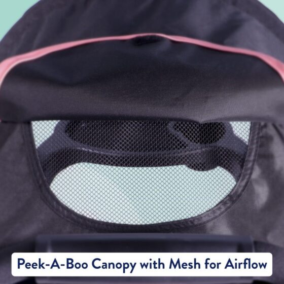Seat mesh canopy window