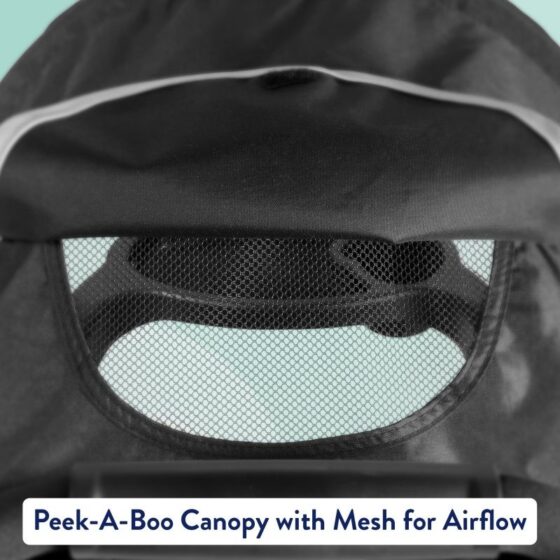Seat mesh canopy window