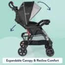 Expandable canopy and seat recline Thumbnail