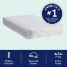 America's #1 Thumbnail