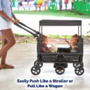 Walk in the park Thumbnail